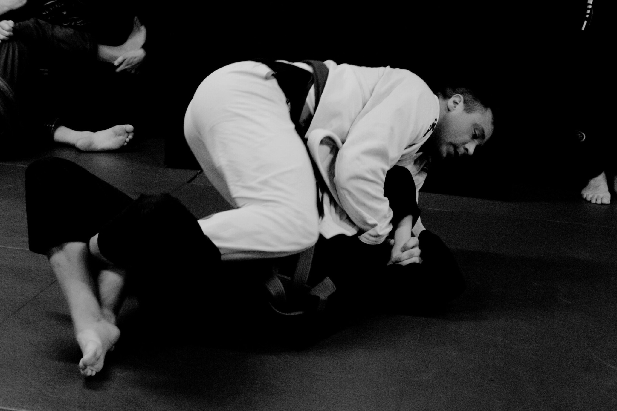 training principles, hybrid training, strength and martial arts, BJJ fitness, hypertrophy for fighters, build muscle and move better, RAWFIT